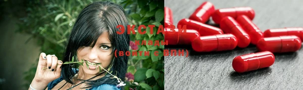 стафф Бородино