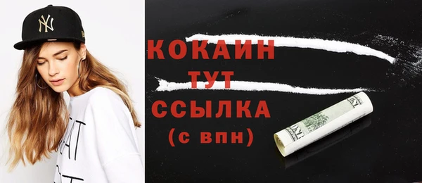 дживик Туринск