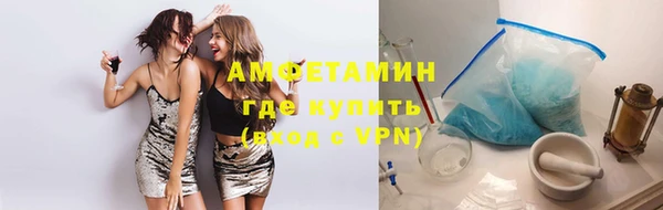 дживик Туринск