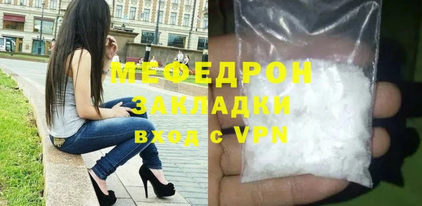дживик Туринск