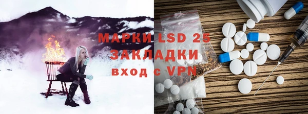 стафф Бородино